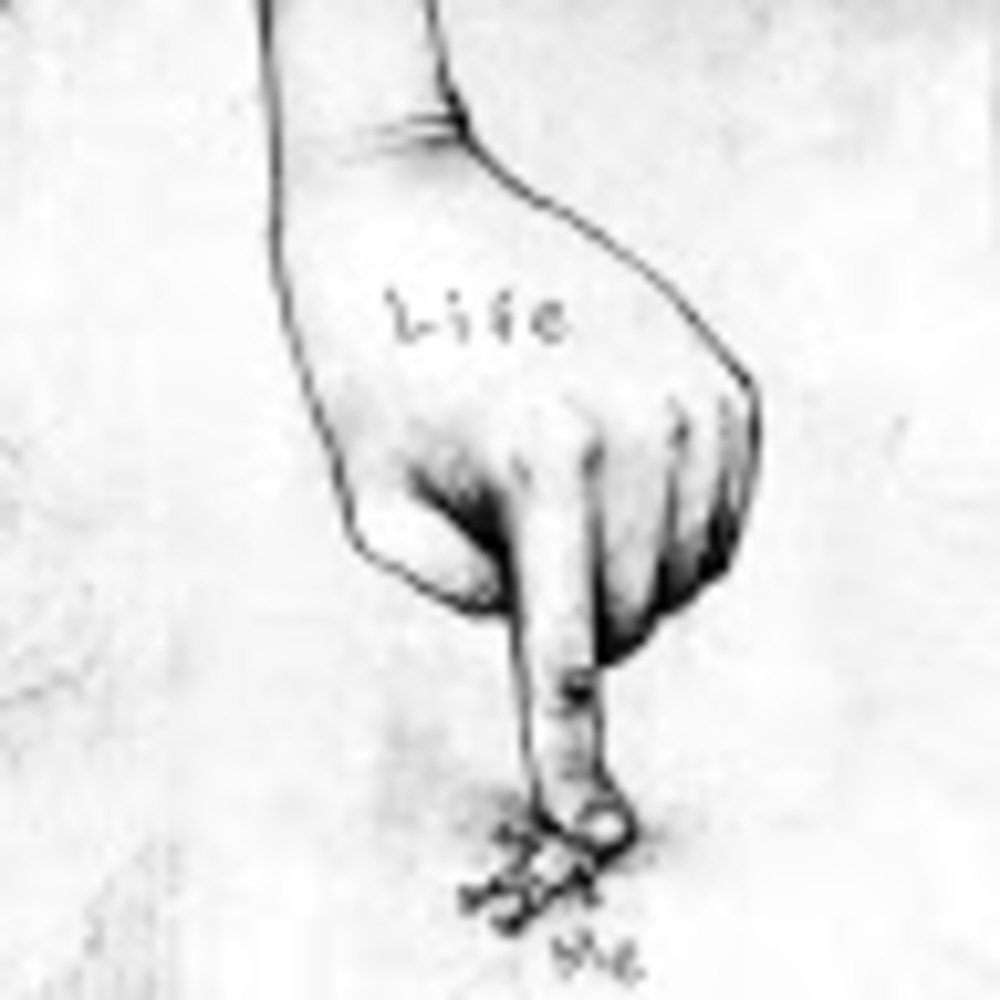 Meet your Posher, Carebear